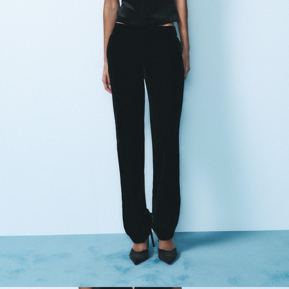 NWT Zara velvet pants